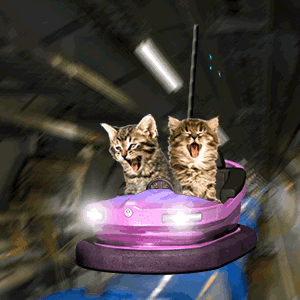 cats